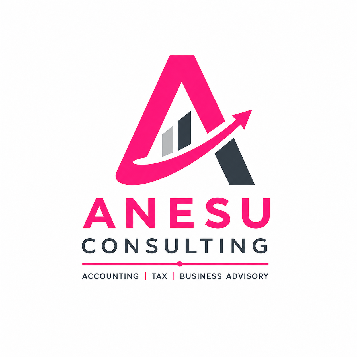 Anesu Consulting - Accounting, Tax and Business Advisory