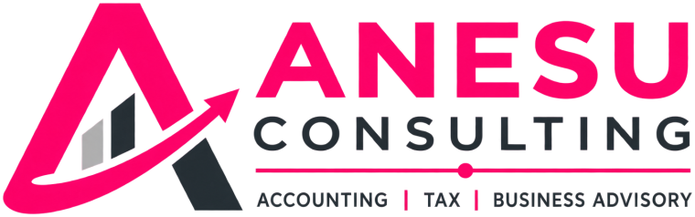 Anesu Consulting - Accounting, Tax and Business Advisory